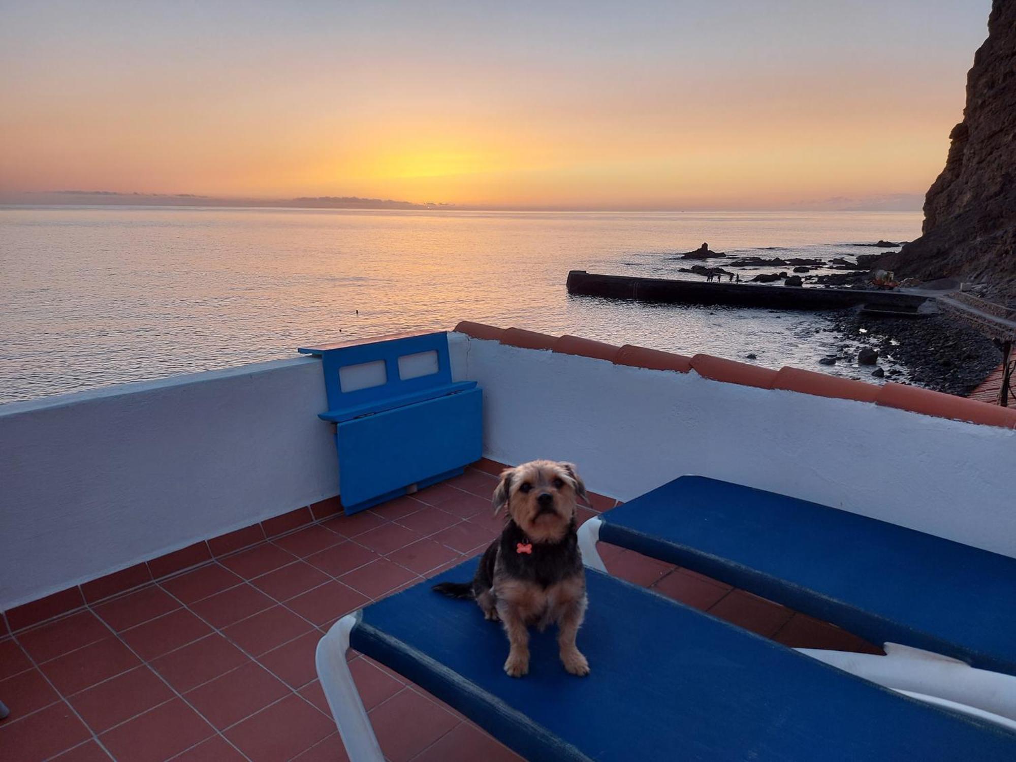 Appartement Vv Puesta De Sol Frente Al Mar Con Balcon Y Aire Acondicionado Alojera